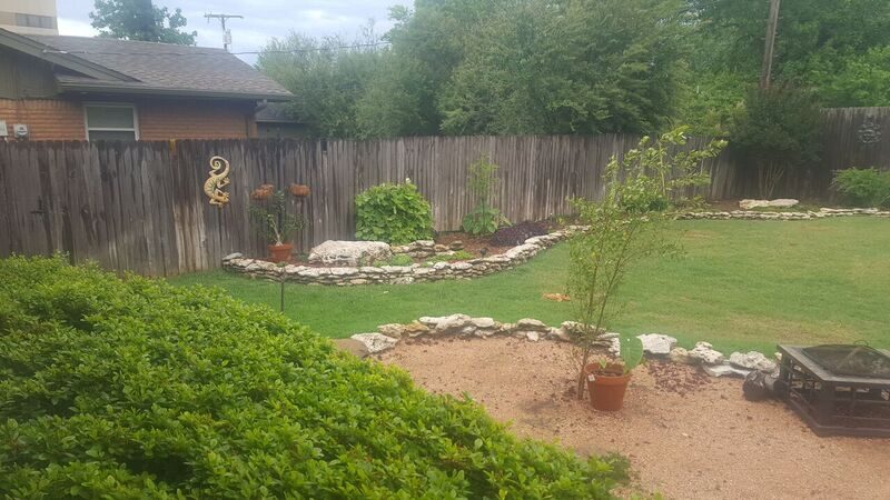 Backyard before
